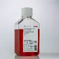 Cell Culture & Plastics