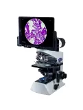 MX21i Digital Head