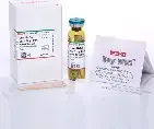 Antimicrobial Susceptibility