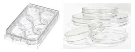 Cell Culture Dishes & Plates