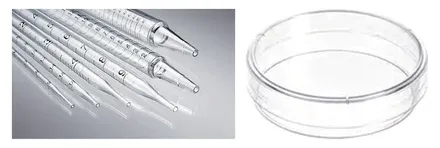 Pipettes & Petri Dishes