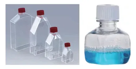 Flasks & Media Bottles