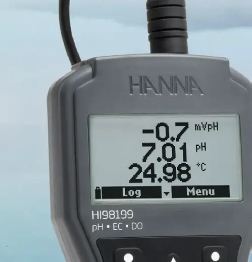 Hanna HI98199